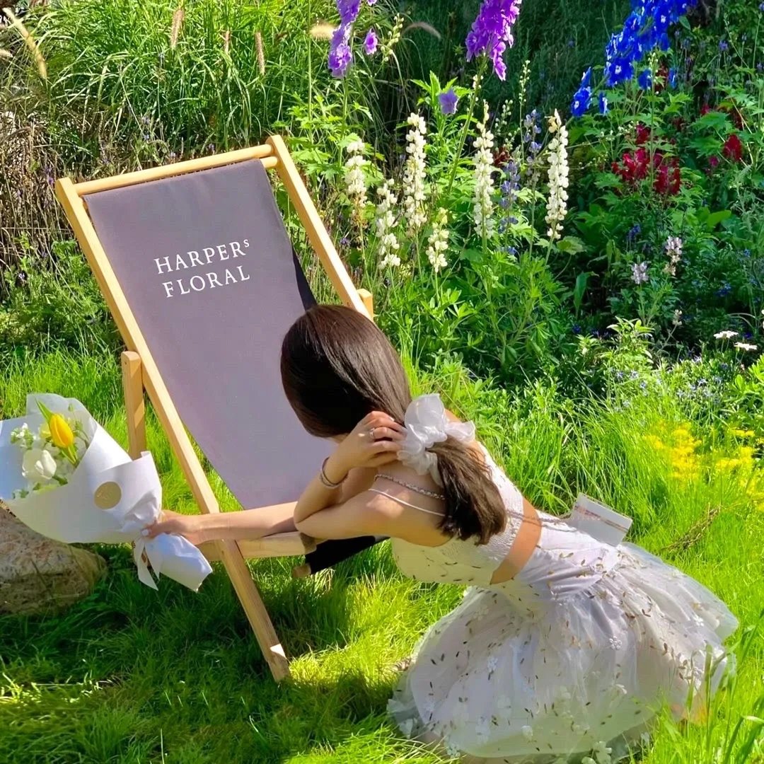 摇曳百合第二季